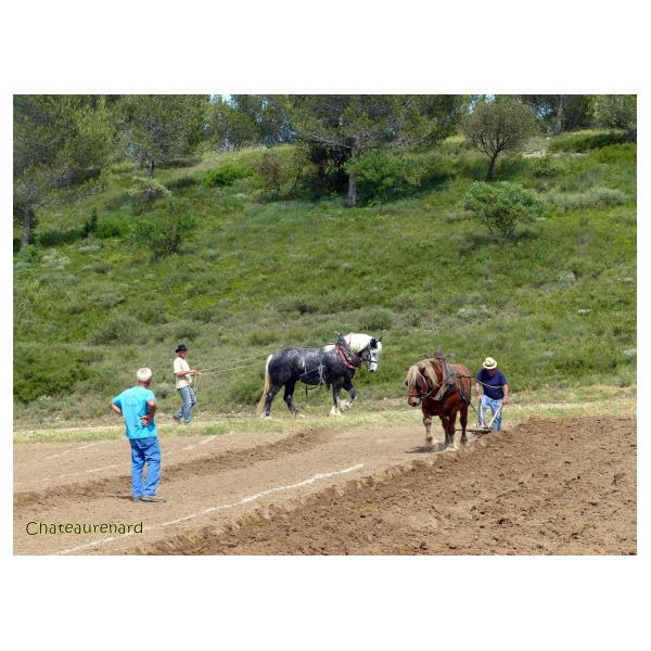 PHOTO84, CLUB, 84 , LUBERON